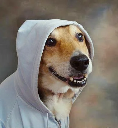 akaisterne - Dostalem oferte pracy na portierni. Troche daleko i na trzy zmiany, ale ...