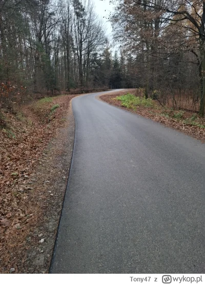 Tony47 - #przegryw #bieganie #spierdotrip

Chłop zjadł 6 jajek przed bieganiem i bieg...