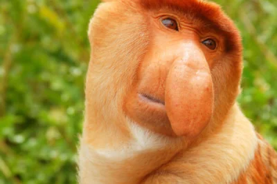 Fantomo - @Kref3x: Tobie się łoczy otworzą synek jak się łojcu zamkną