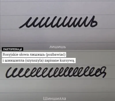 JPRW - >w ruskim mirze podoba mi się jedynie staranność ich odręcznego pisma grafolod...