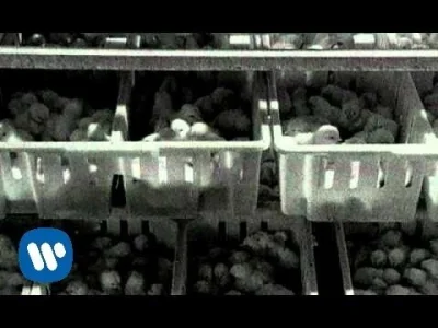 Corvus_Frugilagus - Grzegorz Z Ciechowa - Piejo Kury Piejo
#muzyka