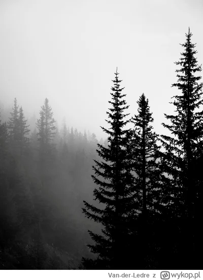 Van-der-Ledre - I znów, senne powiatowe nie oferuje nic, nic prócz kilometrów lasów i...