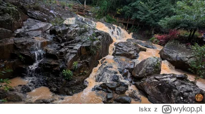 lskx - #raportzpanstwasrodka

Poje**lo mnie i odpaliłem Muminów bez nagrywania na Bil...