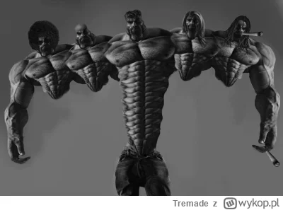 Tremade - Tak, wyjąłem bydlaka śmierdziała i zwaliłem go sobie przy przyjaciółce swoj...