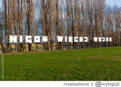 PrawilnyStevie - Dziś rocznica niepodległości Polski. W takich dniach zapraszam ruski...