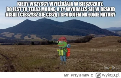 Mr_Przyjemny