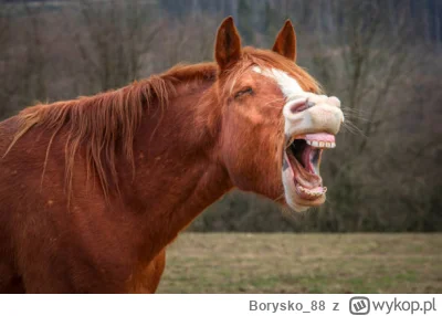 Borysko_88 - @Umeraczyk: