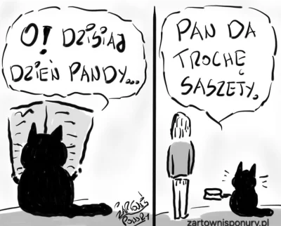 dzieju41 - #panda #koty #smiesznykotek #smiesznekotki #heheszki