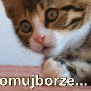 Kantorwymianymysliiwrazen - @Lujdziarski: Ojej puszki z jedzonkiem, dużo puszek.🙀