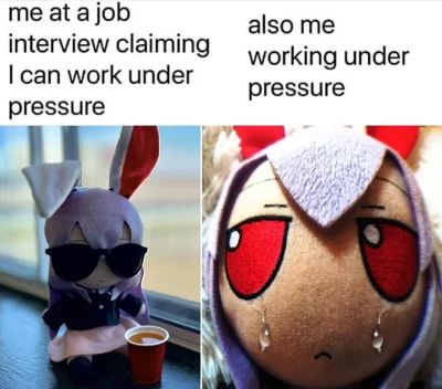 Corvus_Frugilagus - @psspspspsp Hej