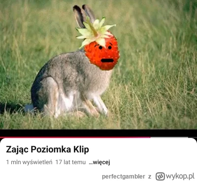 perfectgambler - Nie koziołek, nie biedronka, lecz to ja @PoziomkaZpizdzichowa. Ogon,...