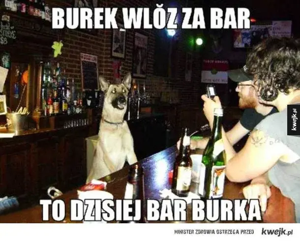 crocozilla - #barburka #heheszki #gornictwo #polska #pracbaza