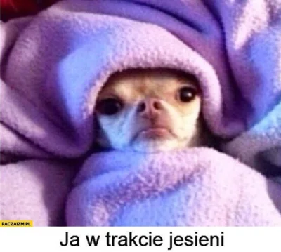 Megalogin - Pytanie do ekspertów. Jeśli u mnie w domu Panuje wirus jakiegoś przeziębi...