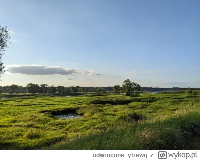 odwrocone_ytrewq - takie zdjęcie na spacerku udało mi się dzisiaj zrobić kurde ten( ͡...