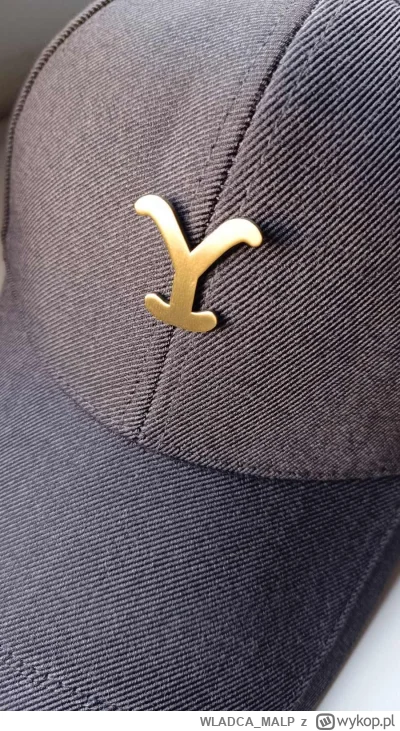 WLADCA_MALP - #zdjeciatarzana #yellowstone
Dziś minimalistyczna dziesiąta ;)