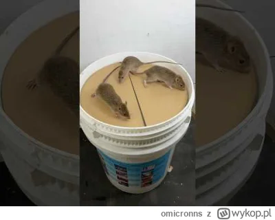 omicronns - @Woojt92: Omar zbiera inwestorów.
https://www.youtube.com/shorts/DdgSeUe...