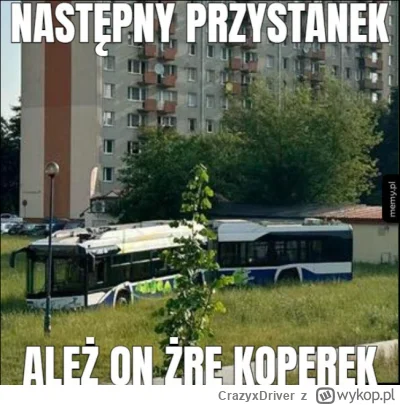 CrazyxDriver - #heheszki #krakow #mpk