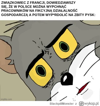 BlackpillMonster - #programista15k #programowanie #pracait #korposwiat