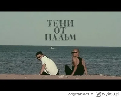 odgrzybiacz - #rosja #muzyka #postrock #synthpop #p------------y