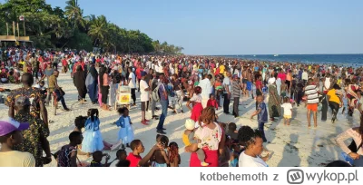 kotbehemoth - Ja byłem na plaży w Mombasie - polecam