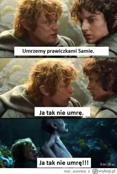 mar_aurelius - #wladcapierscieni ( ͡º ͜ʖ͡º)