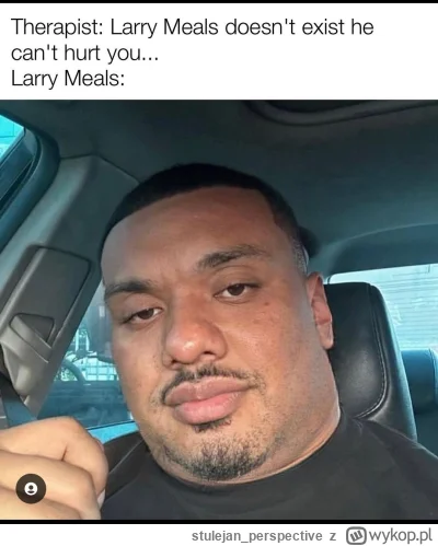 stulejan_perspective