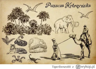 TigerBenzo88 - #szkolnafantasy                                                       ...