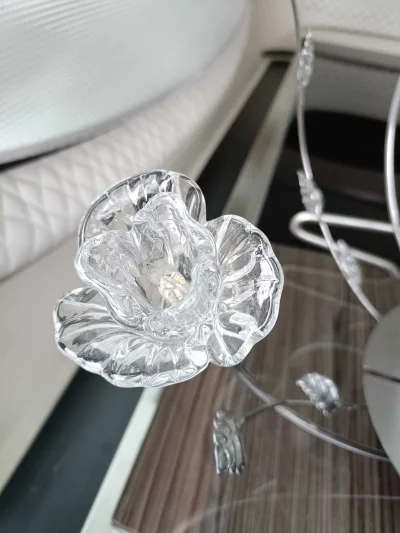 Wewnetrzny_Recenzent - #pytaniedoeksperta #szklarstwo #kiciochpyta #szklo #niewiemjak...