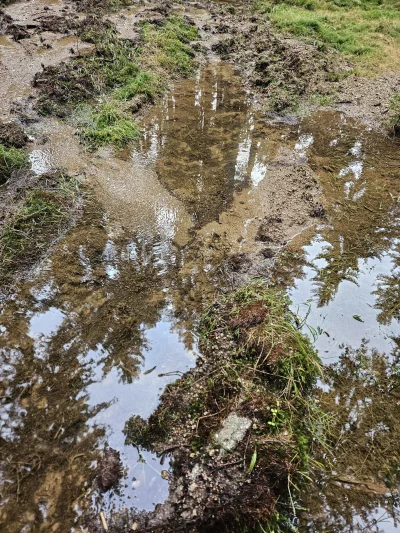 penkroff - #przegryw jedyne co zamocze to buta w kałuży