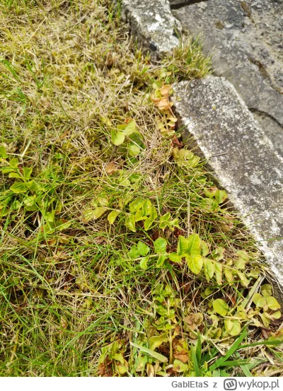 GablEtaS - @GablEtaS