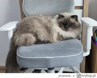 przemek- - @przemek-