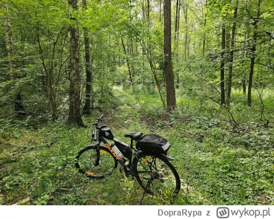 DopraRypa - 554 941 + 176 = 555 117

Pierwszy dzień urlopu zaliczony, Były bagna, kom...