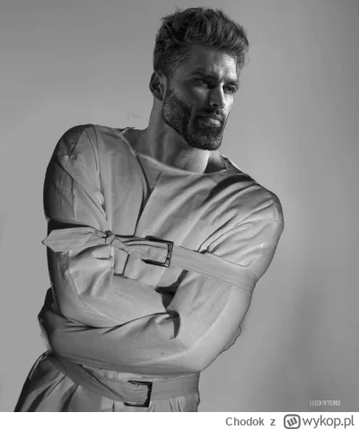 Chodok - #f1 Zgadzam się z redaktorami. Max ma jeszcze szansę na mistrzostwo