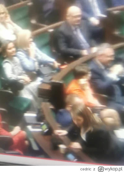 cedric - XD ( ͡º ͜ʖ͡º)