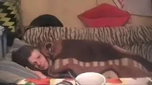 okradzione - #mecz Gdzieś aktualnie w Barcelonie