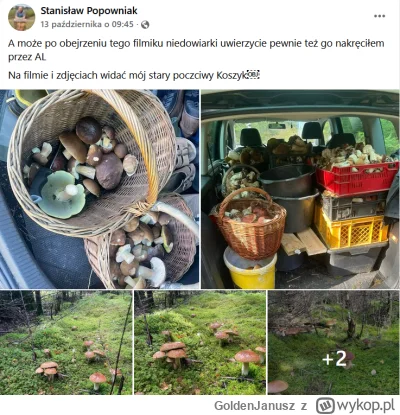 GoldenJanusz - Stachu o----ł cały las z grzybów żeby b--ń boże ktoś inny nie zebrał (...