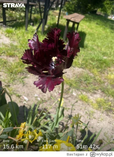 BasTajpan - 241 716 + 16 + 15 = 241 747

Rekreacja z różowym paskiem

#rowerowyrownik...