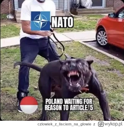 czlowiekzlisciemnaglowie - Obawiam się fałszywej flagi, która z ulgą zostanie "zinter...