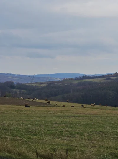 remlezar - Oj tak byczq