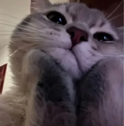 djtartini1 - @KrzysztofWu: