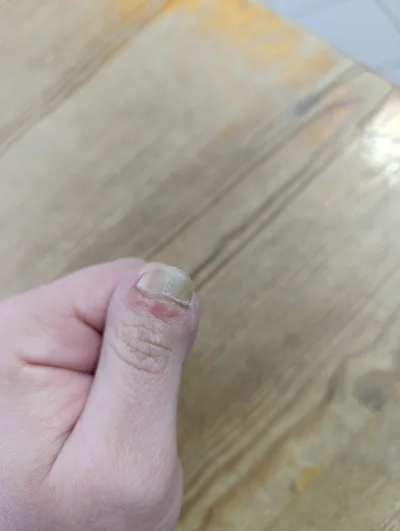 ryoku88 - #przegryw muszę sobie kupić wkoncu jakiś pilnik do krogulca. Mam krogulec n...