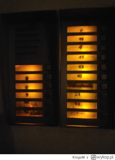 KingaM - #kuriercodzienny zawsze gdy się spieszę to domofon bawi się ze mną w chowane...