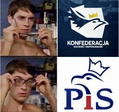 raul7788 - #partiamem #bekazkonfederacji #polityka #trollopozycjinapozycji #lewackika...