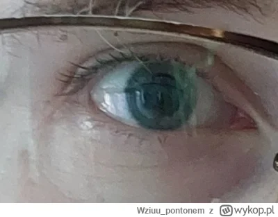 Wziuu_pontonem - Muszę ogolić brwi bo są za długie 
Starość