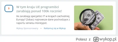 Polasz - Patrzę na reklamę na #wykop i sobie myślę. W którym to kraju informatycy zar...