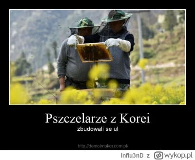 Influ3nD - #humorobrazkowy  #hanuszki