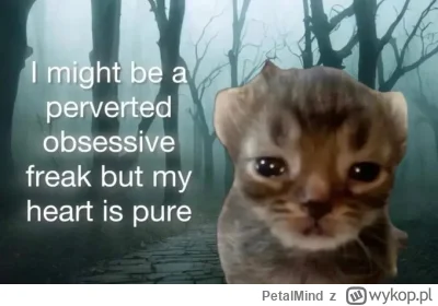 PetalMind - 4 piwka wypite, Buszek zapalony, funkcjonalność skończona można iść spać....