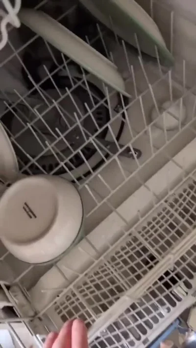 mk321 - #koty #humorobrazkowy #zmywarka #