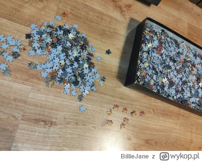 BillieJane - Tak się zaczyna przygoda na nie wiem ile czasu, zobaczymy, czy nie porwi...