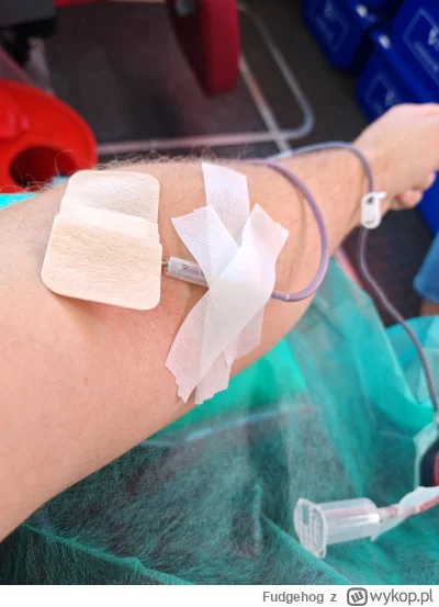 Fudgehog - 67 261 - 450 = 66 811
Data donacji - 25.09.2025
Rodzaj donacji - krew pełn...